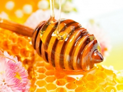 1311658100_food_cakes_and_sweet_floral_honey_020448_