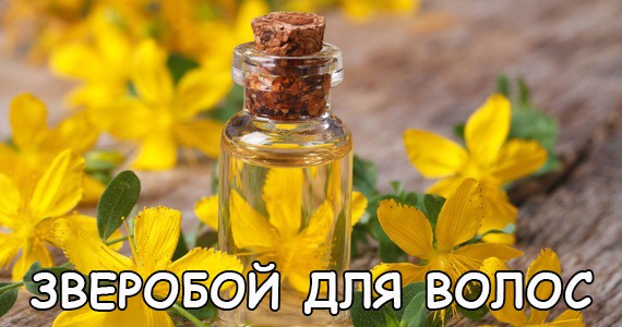 1456418987_zveroboy-2